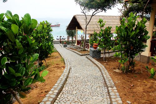 c_500_333_16777215_00_images_9715_dongtamnhatrang4.jpg